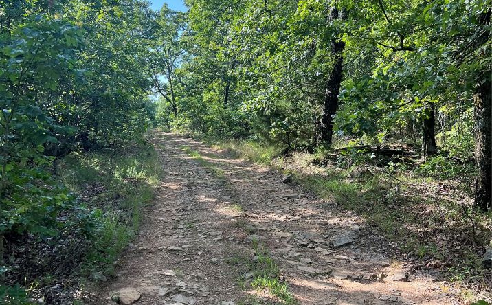 Pictures of Land property located at 2 Rural Route, Sallisaw, OK 74955 for sales - image #1