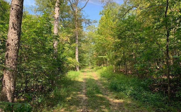 Pictures of Land, Multifamily property located at 17ac Forrest Hill Lane, Gravois Mills, MO 65037 for sales - image #1