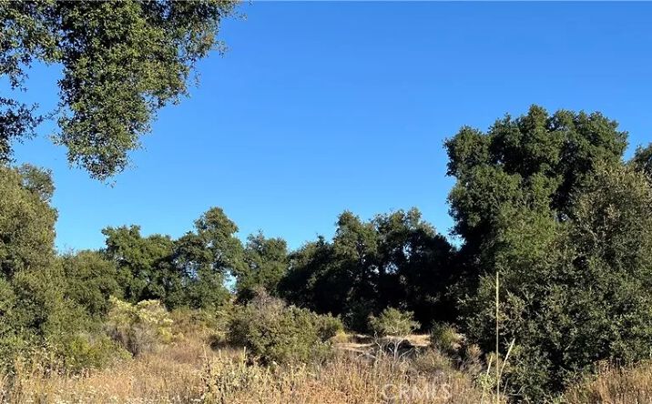 Pictures of Land property located at 35010 Willow Creek Rd., Hemet, CA 92544 for sales - image #1