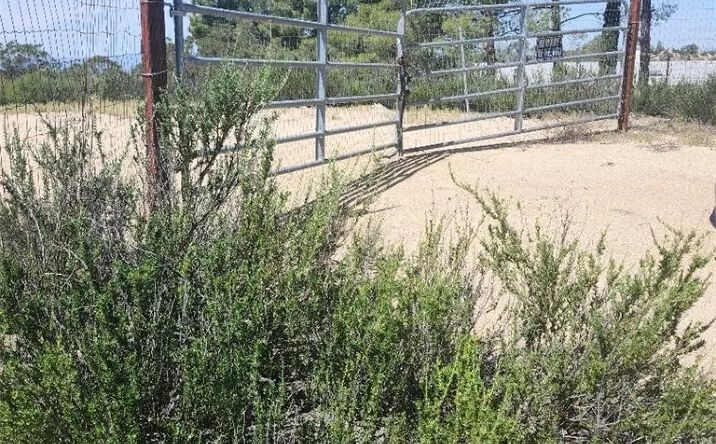 Pictures of Land property located at 44401 Barbara, Aguanga, CA 92536 for sales - image #1