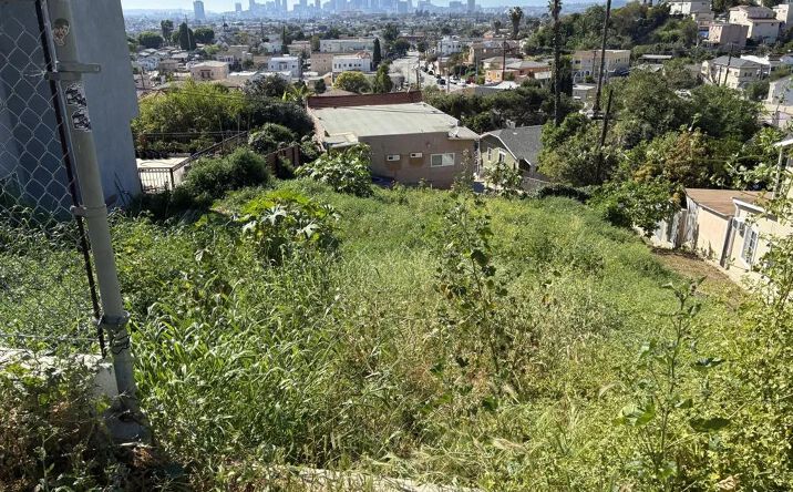 Pictures of Land property located at 1031 N Rowan, Los Angeles, CA 90063 for sales - image #1