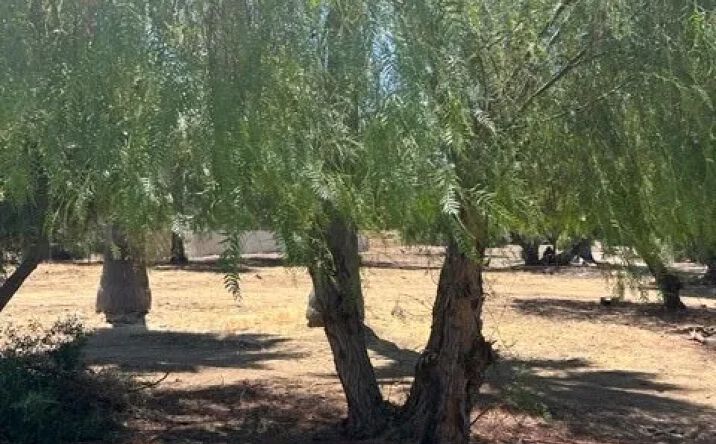 Pictures of Land property located at Lakeshore, Lake Elsinore, CA 92530 for sales - image #1