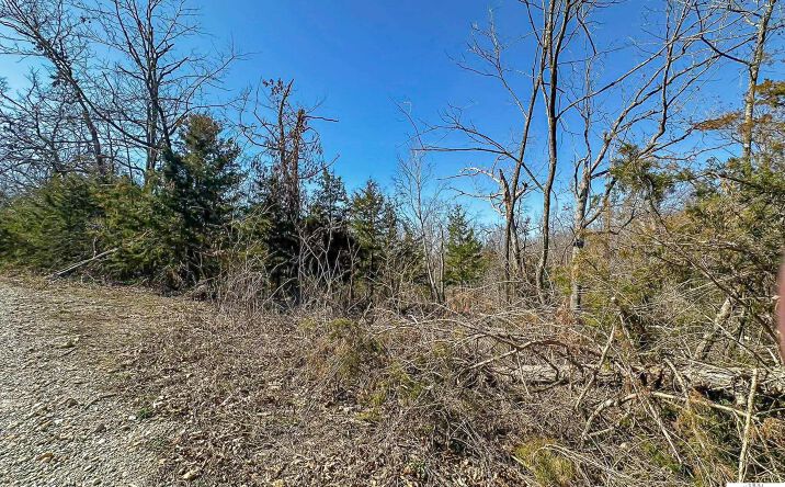 Pictures of Land property located at 23867 Brennan, Warsaw, MO 65355 for sales - image #1