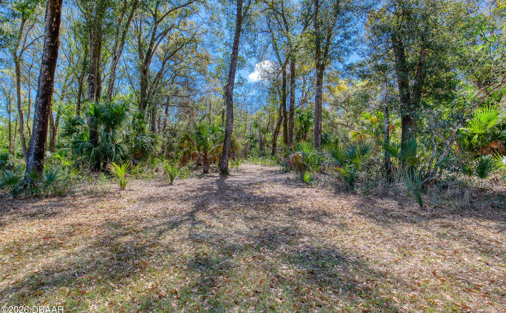 Pictures of Land property located at 1801 Adrian Creek Boulevard, Port Orange, FL 32128 for sales - image #1