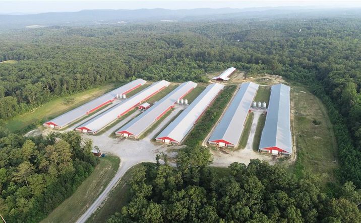Pictures of Business for Sale property located at 876 Wood Station Road, Rock Spring, GA 30739 for sales - image #1