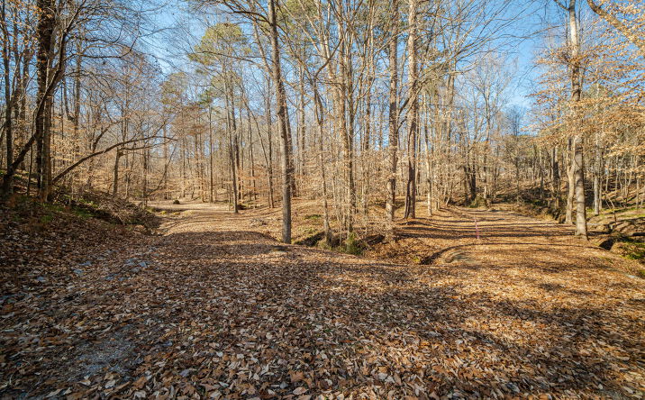 Pictures of Land property located at 0 Washington St, Clayton, NC 27520 for sales - image #1