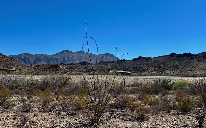 Pictures of Land property located at 52990 S Hwy 118, Terlingua, TX 79852 for sales - image #1