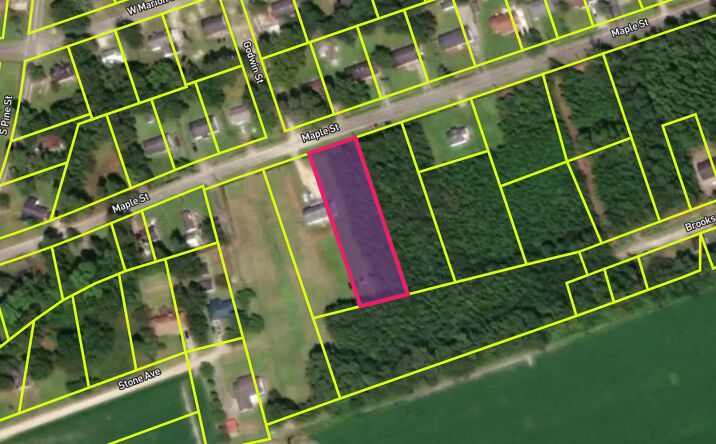 Pictures of Land, Mixed Use, Multifamily property located at 212 Maple Street, Johnsonville, SC 29555 for sales - image #1