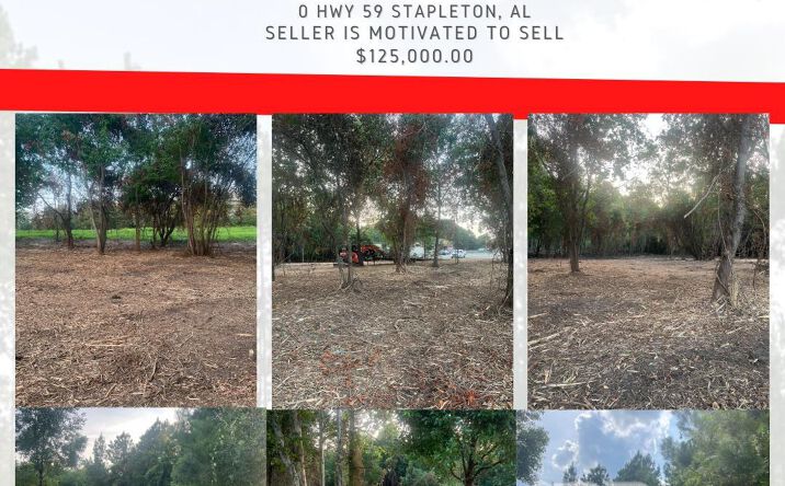Pictures of Land, Mixed Use, Self Storage property located at 0 Highway 59 Stapleton, AL 36578, Stapleton, AL 36578 for sales - image #1