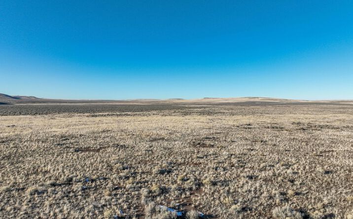 Pictures of Land property located at TL 3100 South Harney Lake Rd, Lawen, OR 97720 for sales - image #1