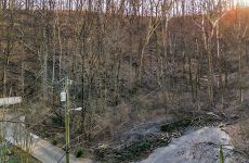 31219530