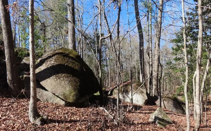 Pictures of Land property located at Rion Road, Winnsboro, SC 29180 for sales - image #1