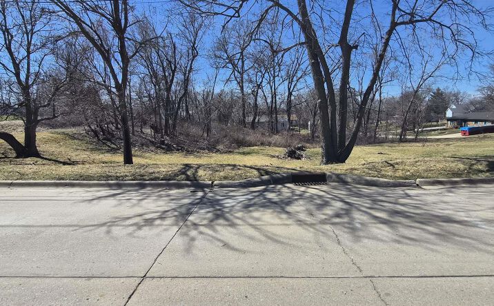 Pictures of Land, Special Purpose property located at 536 N 3rd Street, Centerville, IA 52544 for sales - image #1