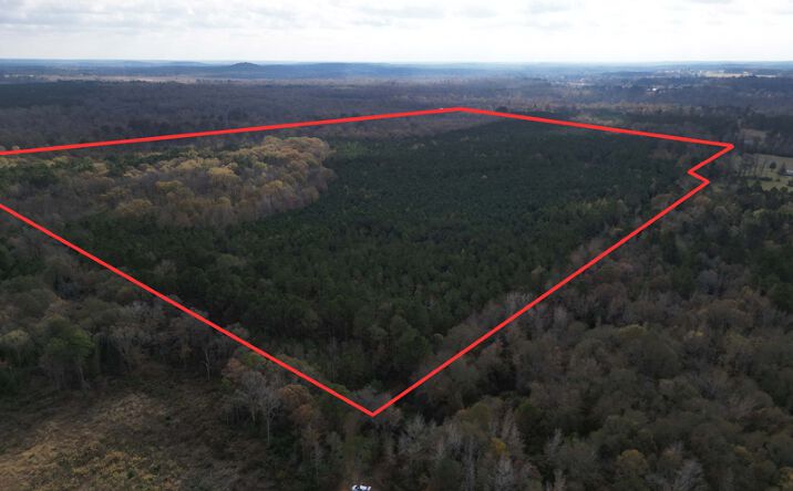 Pictures of Land property located at CR 2912 Hughes Springs, Hughes Springs, TX 75656 for sales - image #1