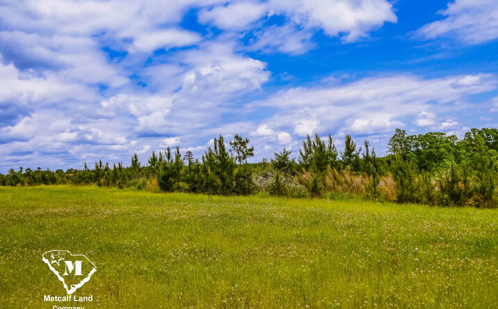 Pictures of Land property located at Battlefield Rd, Enoree, SC 29335 for sales - image #1