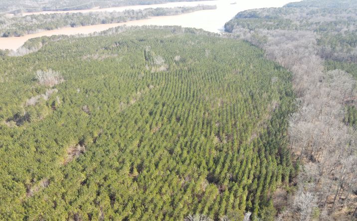 Pictures of Land property located at Rocky Creek Road, Hampton, GA 30228 for sales - image #1