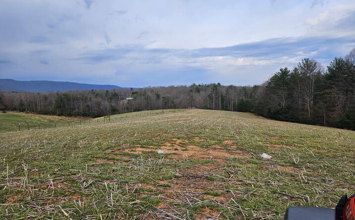 Pictures of Land property located at Willas Gap, Ararat, VA 24053 for sales - image #1