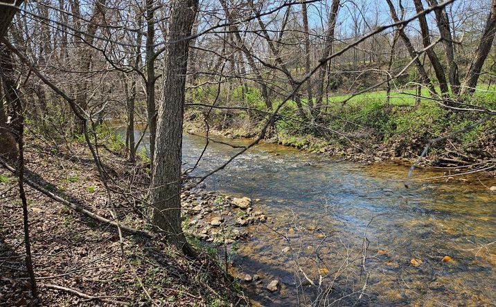 Pictures of Land property located at Willas Gap, Ararat, VA 24053 for sales - image #1