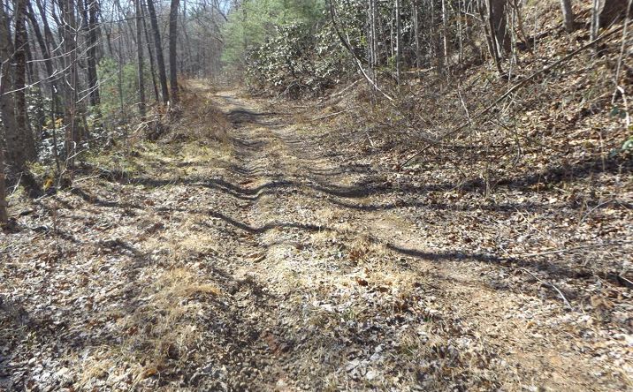 Pictures of Land property located at TBD Pole Bridge Rd., Stuart, VA 24171 for sales - image #1