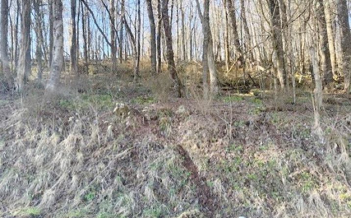 Pictures of Land, Multifamily property located at TBD Old King Rd., Rural Retreat, VA 24368 for sales - image #1