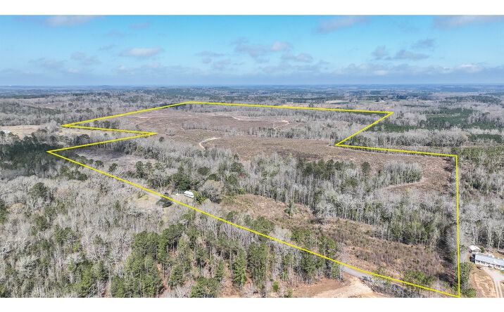 Pictures of Land property located at 919 County Road 6628, Banks, AL 36005 for sales - image #1