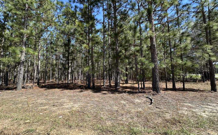 Pictures of Land property located at Mimosa Dr Lot 1, Gaston, SC 29053 for sales - image #1