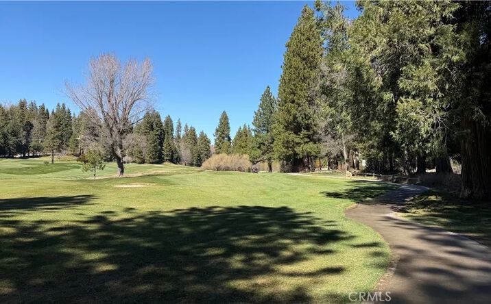 Pictures of Land, Special Purpose property located at Grass Valley, Twin Peaks, CA 92391 for sales - image #1