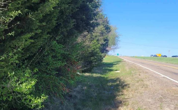 Pictures of Land property located at I-45, Palmer, TX 75152 for sales - image #1