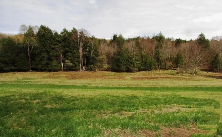 Pictures of Land property located at Hurd Road, Bethel, NY 12720 for sales - image #1