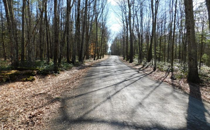 Pictures of Land property located at TBD Wright Rd, Rochester, NY 12446 for sales - image #1