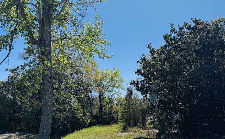 Pictures of Land property located at 0 Jackson Avenue, Pascagoula, MS 39567 for sales - image #1