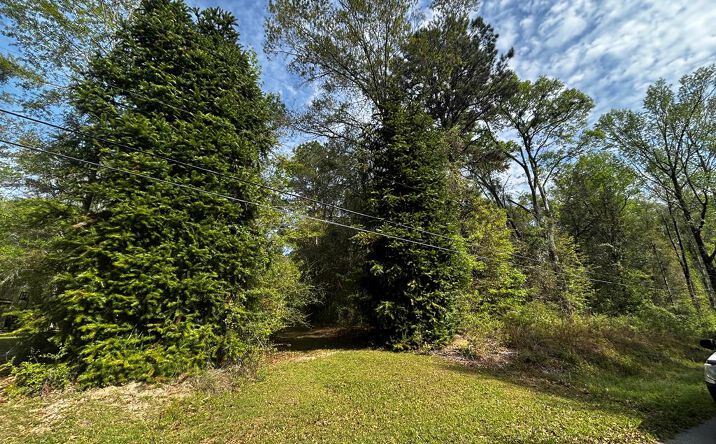 Pictures of Land, Special Purpose property located at 19 Bucaneer Cr, Carriere, MS 39426 for sales - image #1