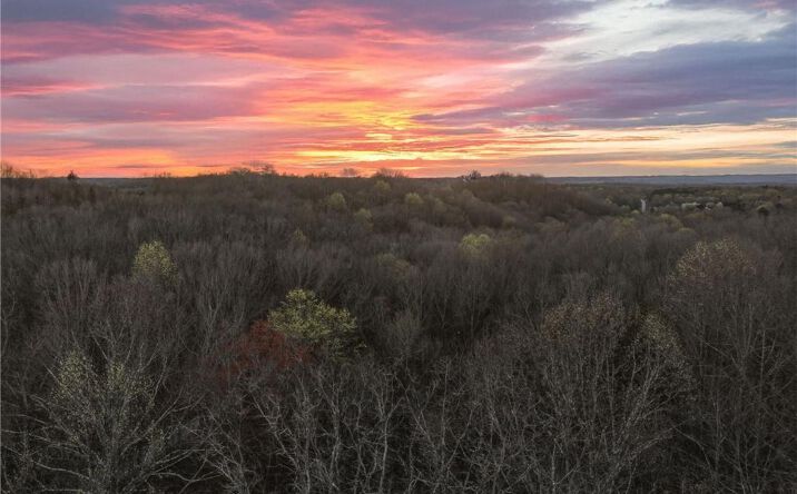Pictures of Land property located at Lot 11 Mount Mincie Road, Murrayville, GA 30564 for sales - image #1