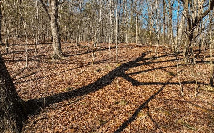 Pictures of Land property located at Lot 8 Mount Mincie Rd, Murrayville, GA 30564 for sales - image #1