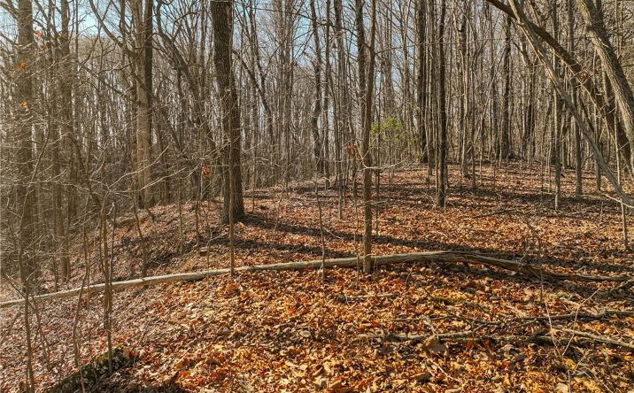 Pictures of Land property located at Lot 5 Mount Mincie Road, Murrayville, GA 30564 for sales - image #1