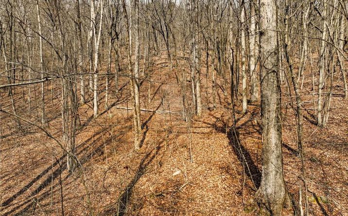 Pictures of Land property located at Lot 6 Mount Mincie Road, Murrayville, GA 30564 for sales - image #1