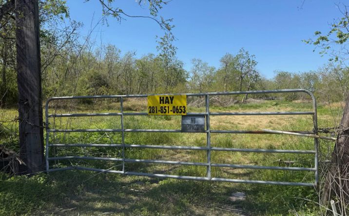 Pictures of Land property located at FM 1462, Alvin, TX 77511 for sales - image #1