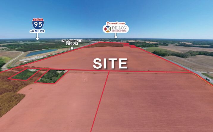 Pictures of Land property located at U.S. 301, Dillon, SC 29536 for sales - image #1