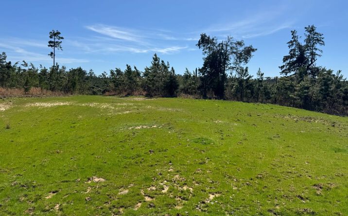Pictures of Land property located at Duck Hill Ranch Road, Duck Hill, MS 38925 for sales - image #1