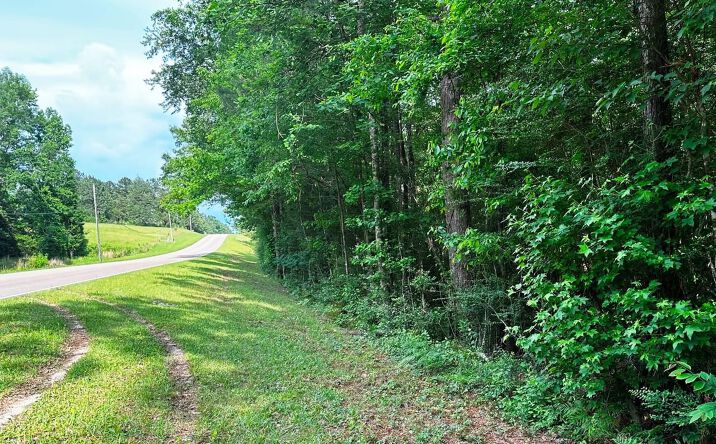 Pictures of Land property located at 0 Ollie Williams Road, Hattiesburg, MS 39401 for sales - image #1
