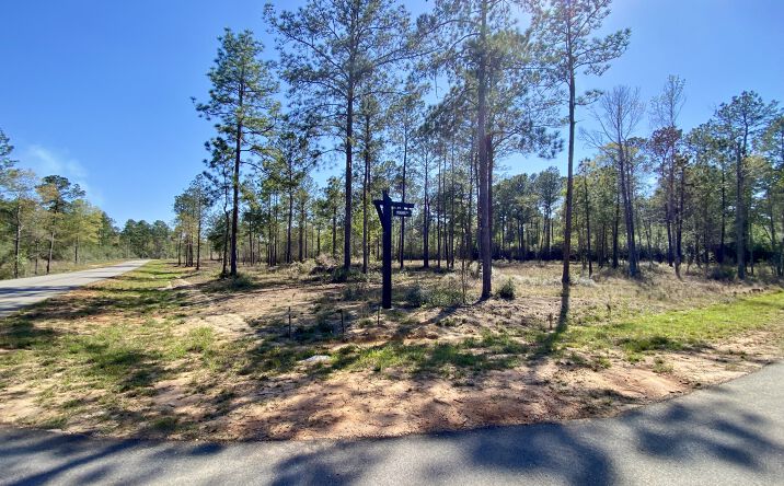 Pictures of Land property located at 9 Monarch Circle, Carriere, MS 39426 for sales - image #1