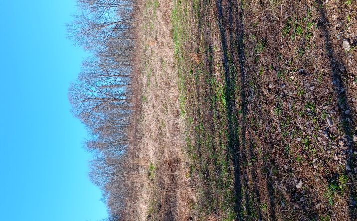 Pictures of Land property located at 0 Setty Rd, Albany, OH 45710 for sales - image #1
