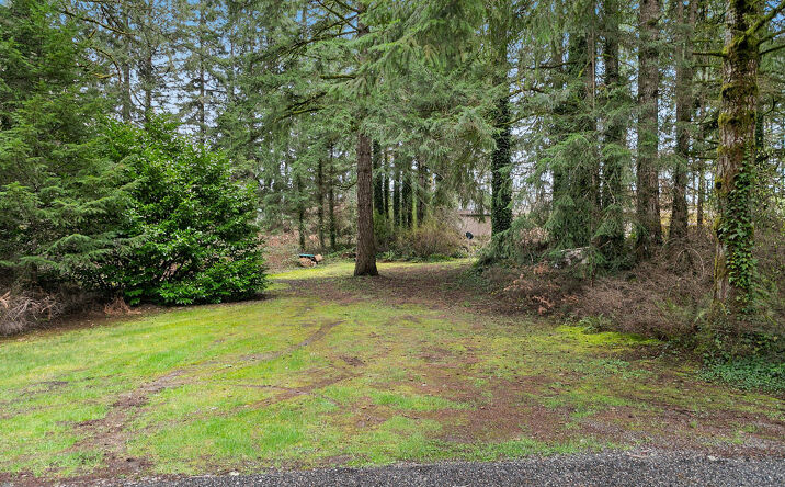 Pictures of Land property located at 151 NE Deerwood Dr, Belfair, WA 98528 for sales - image #1