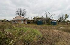 31263501