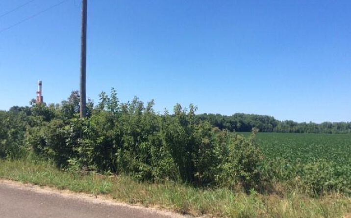Pictures of Land, Special Purpose property located at 39502 E Gillespie Road, Oak Grove, MO 64075 for sales - image #1