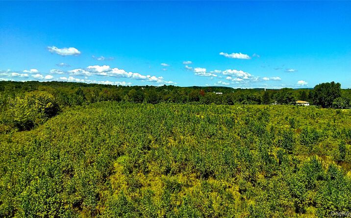 Pictures of Land property located at N Vernon, Athens, NY 12015 for sales - image #1