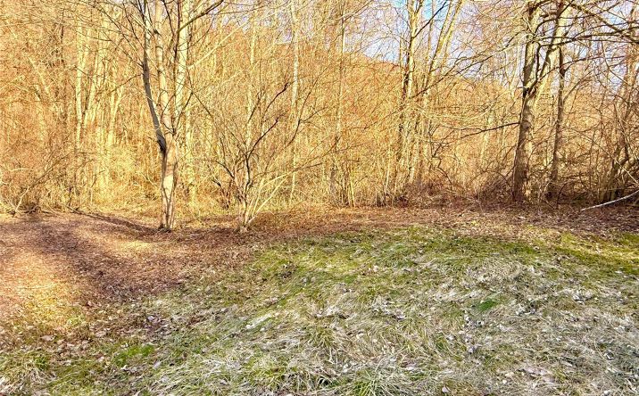 Pictures of Land property located at Route 22, Dover, NY 12594 for sales - image #1