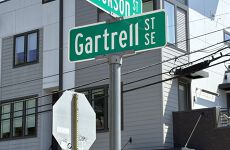 31288833