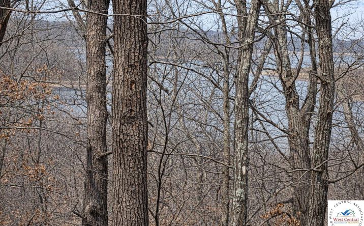 Pictures of Land, Special Purpose property located at 3925 NE 1075 PVT, Osceola, MO 64776 for sales - image #1