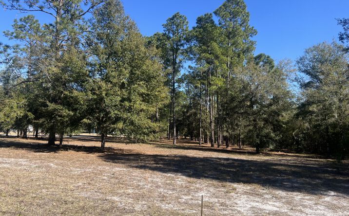 Pictures of Land property located at 921 S MOODY Road, Palatka, FL 32177 for sales - image #1